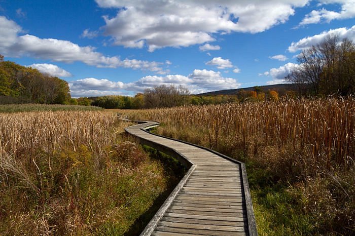 Stairway to Heaven Trail (Appalachian Trail)